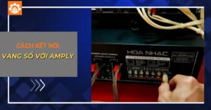 Cách kết nối vang số với amply