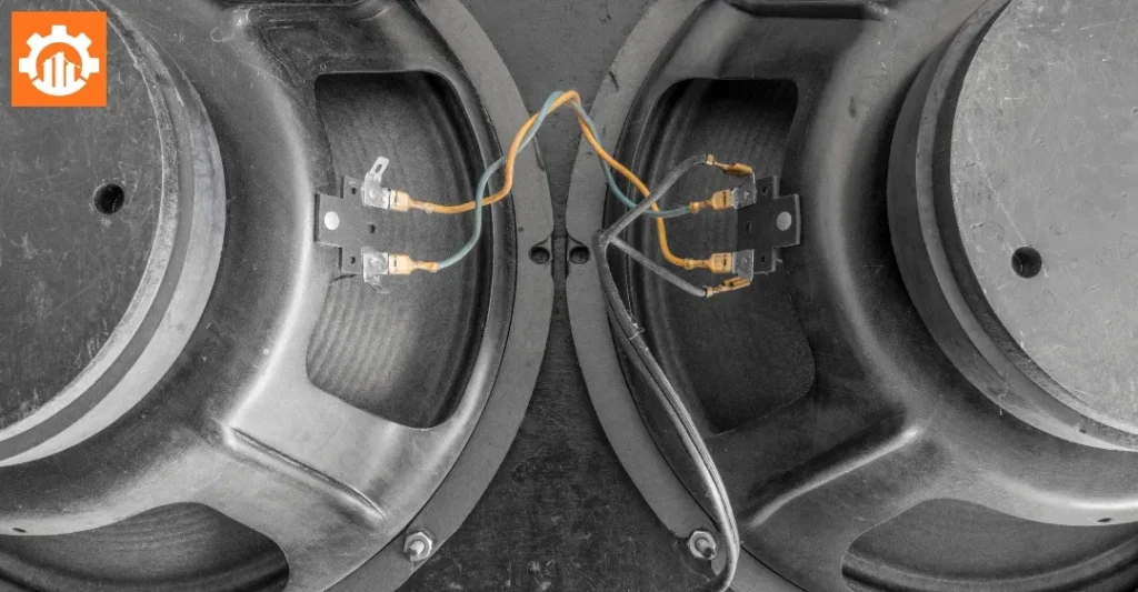 Hướng dẫn đấu dây bên trong thùng loa