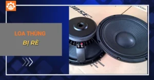 loa thùng bị rè_