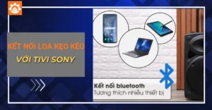 kết nối loa kẹo kéo với tivi Sony_