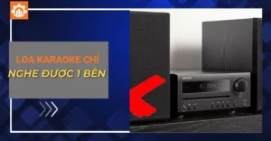 loa karaoke chỉ nghe được 1 bên_