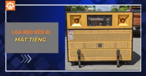 loa kẹo kéo bị mất tiếng_