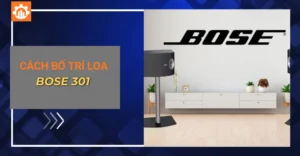 cách bố trí loa bose 301_