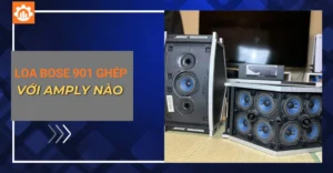loa bose 901 ghép với amply nào