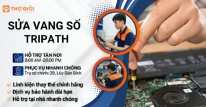 Sửa vang số Tripath