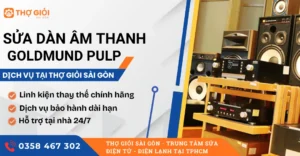 Sửa dàn âm thanh Goldmund Pulp