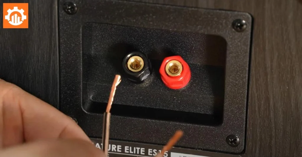 Cắm dây vào Binding Post