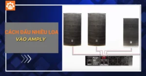 Cách đấu nhiều loa vào amply