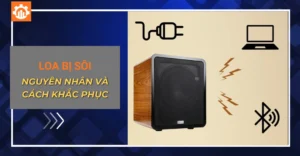 Loa bị sôi