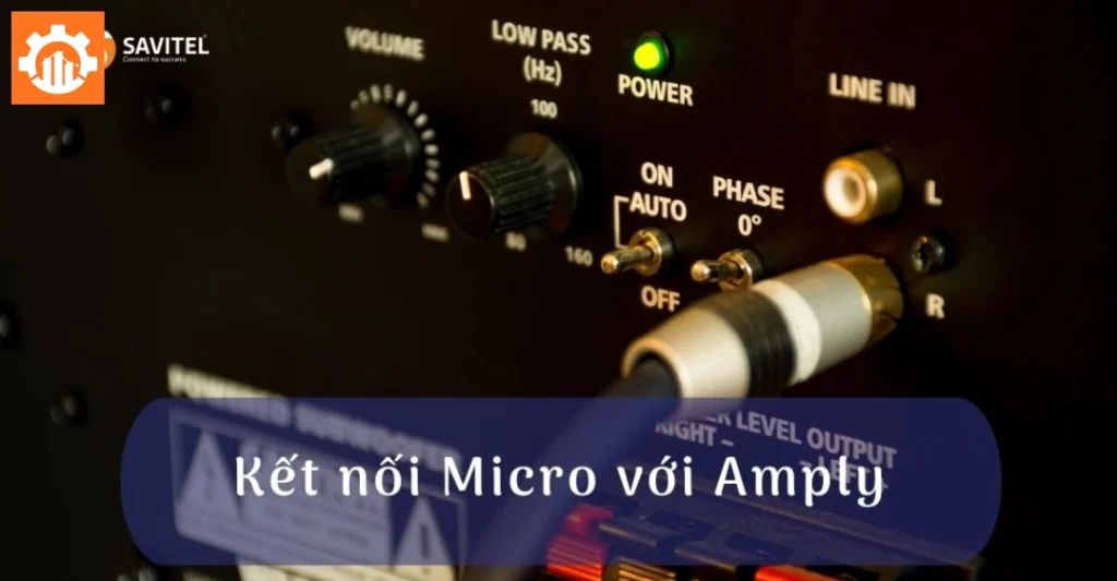 Cắm micro vào cổng kết nối amply