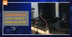 Cách đấu 4 loa vào 1 amply Jarguar 203N
