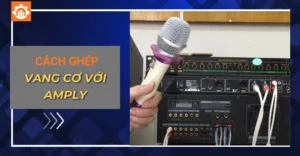 Ghép vang cơ với amply